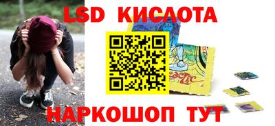 прущие грибы Пушкино