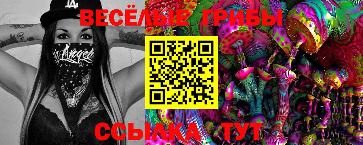 Галлюциногенные грибы GOLDEN TEACHER Сунжа